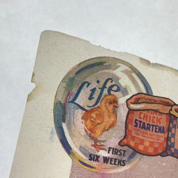 Vintage 1929 Purina Poultry Book Advertising - Picture 7 of 11